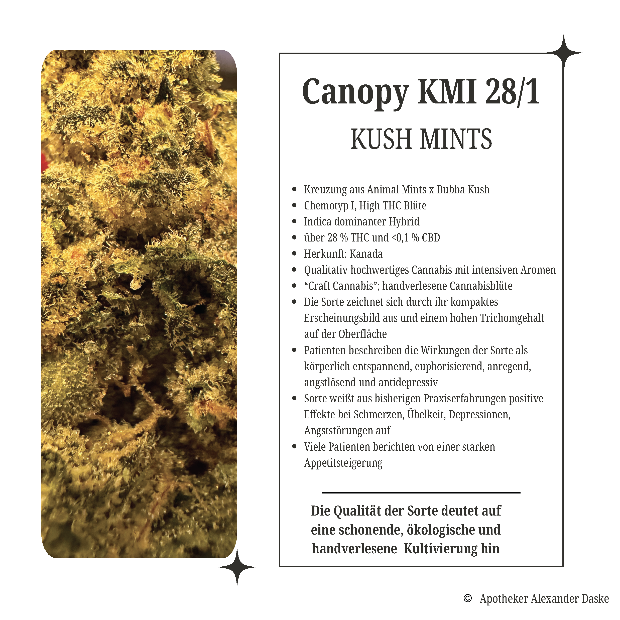 Canopy KMI 28/1 Kush Mints