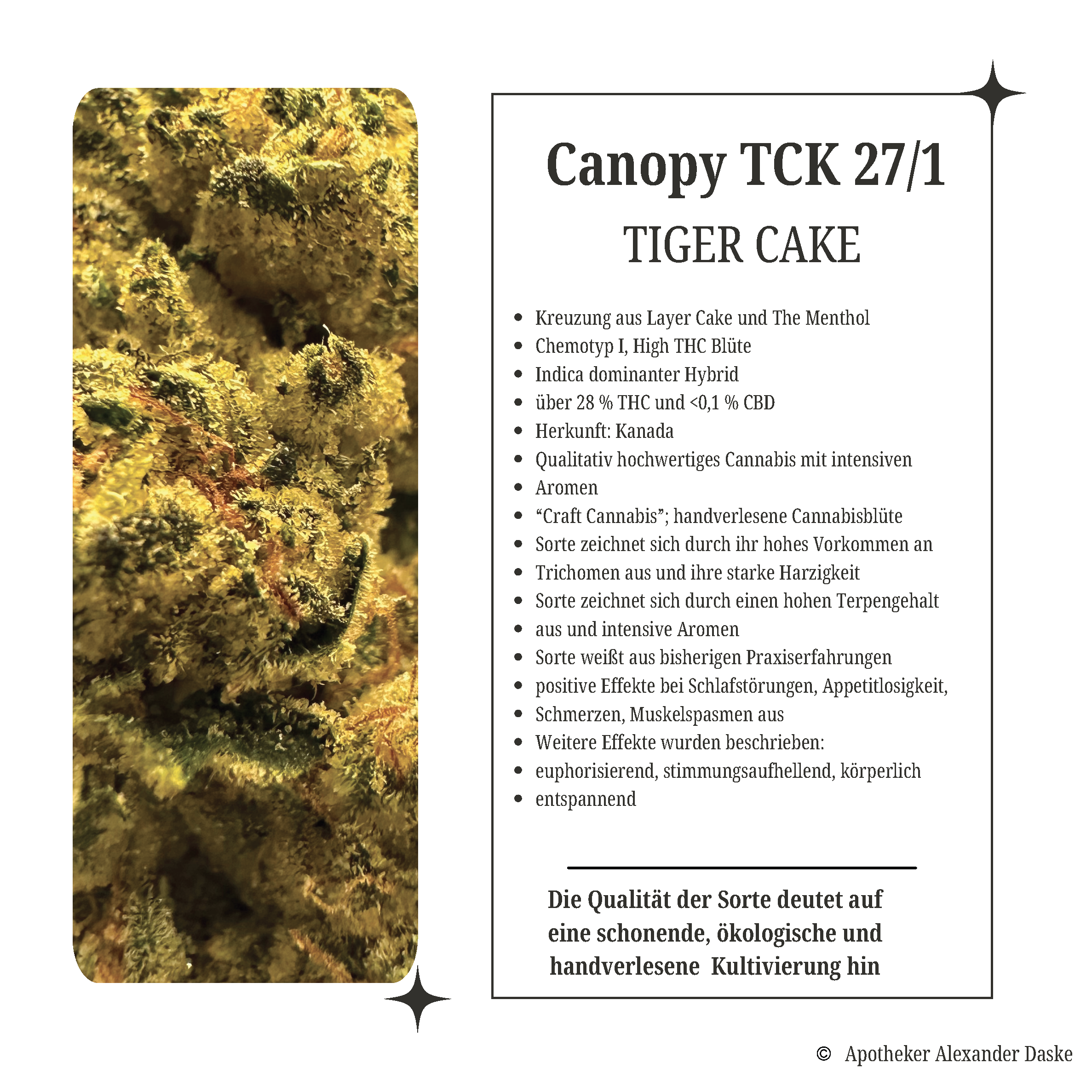 Canopy TCK 27/1 Tiger Cake