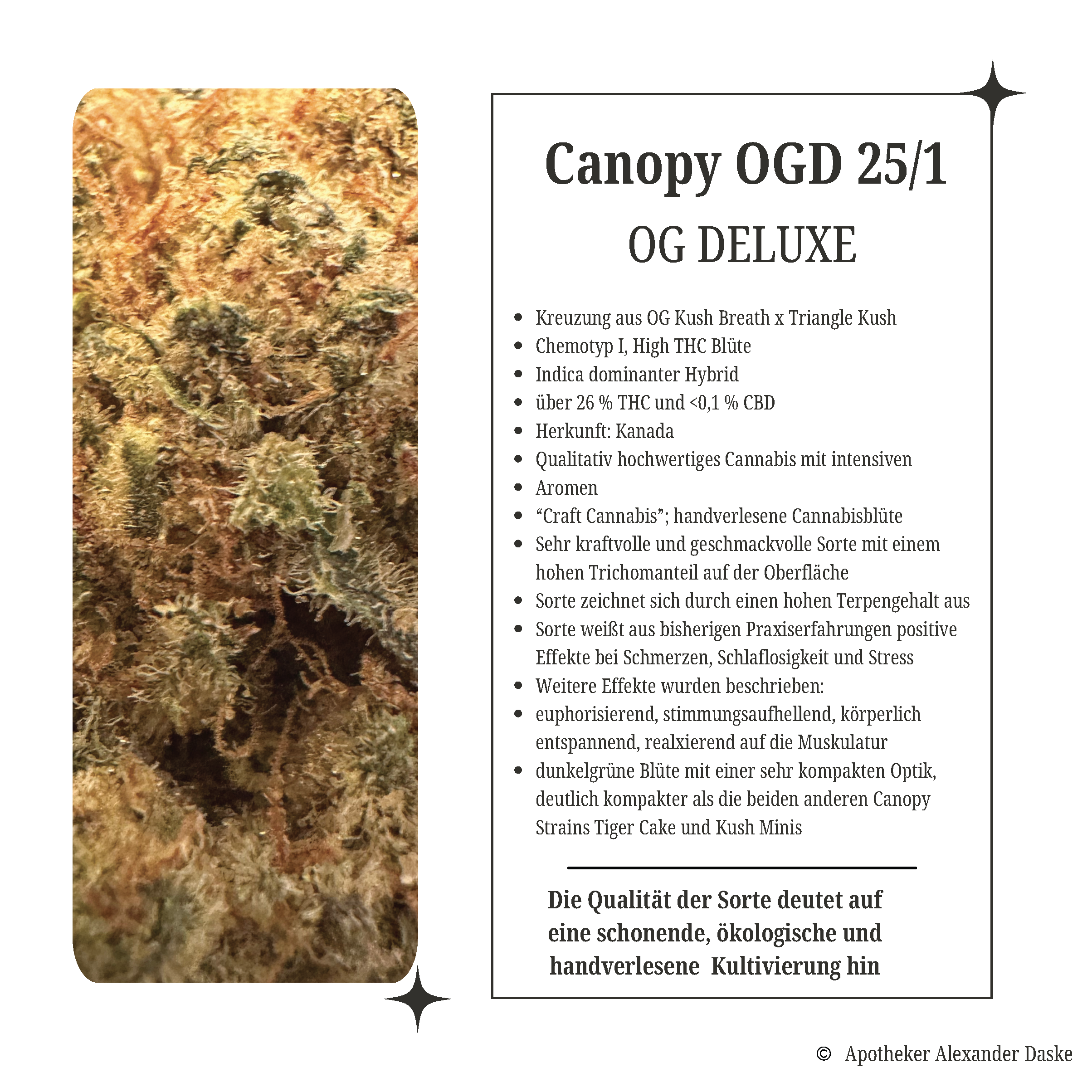 Canopy OGD 25/1OG Deluxe