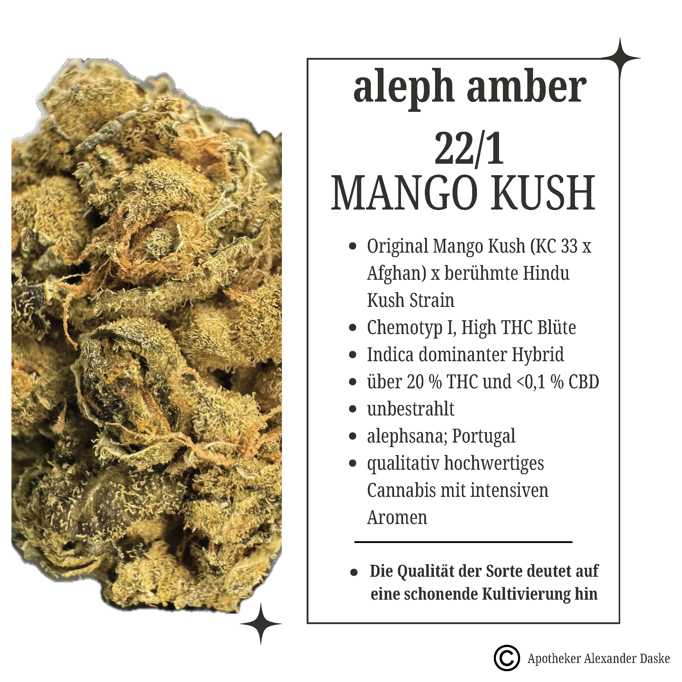 Strain Analyse Aleph Amber 22/1 Mango Kush